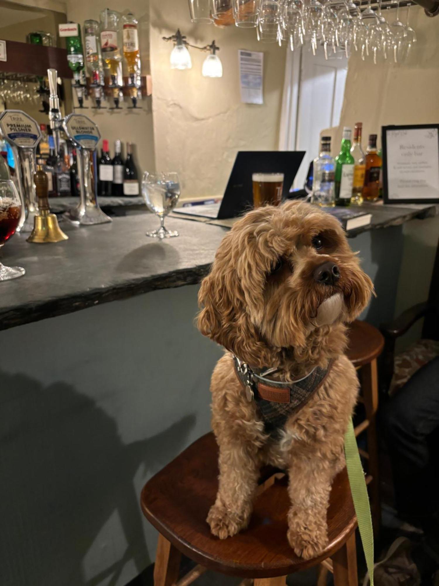 Royal Oak Hotel ロススウェイト エクステリア 写真